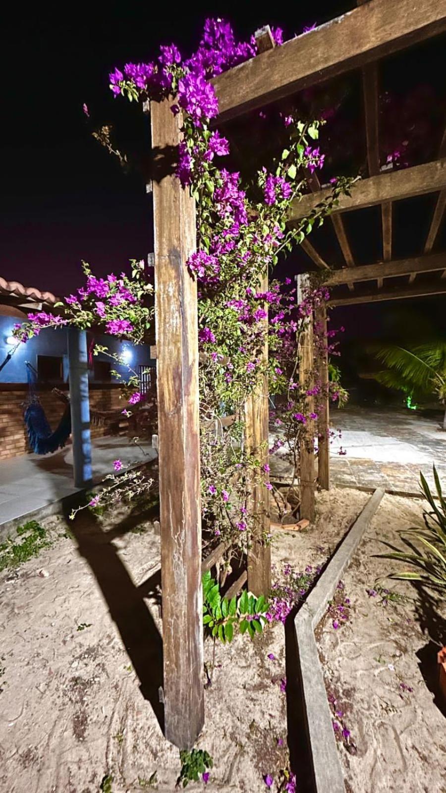 Casa Pierot Villa Luis Correia Luaran gambar